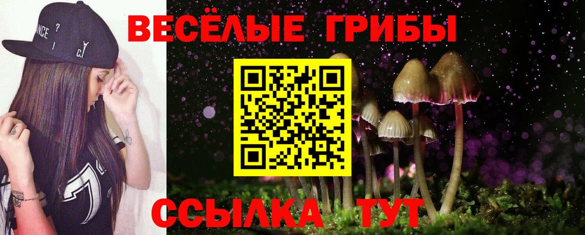 Псилоцибиновые грибы мицелий Югорск